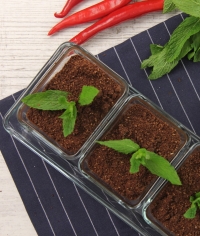 Čokoládový mousse